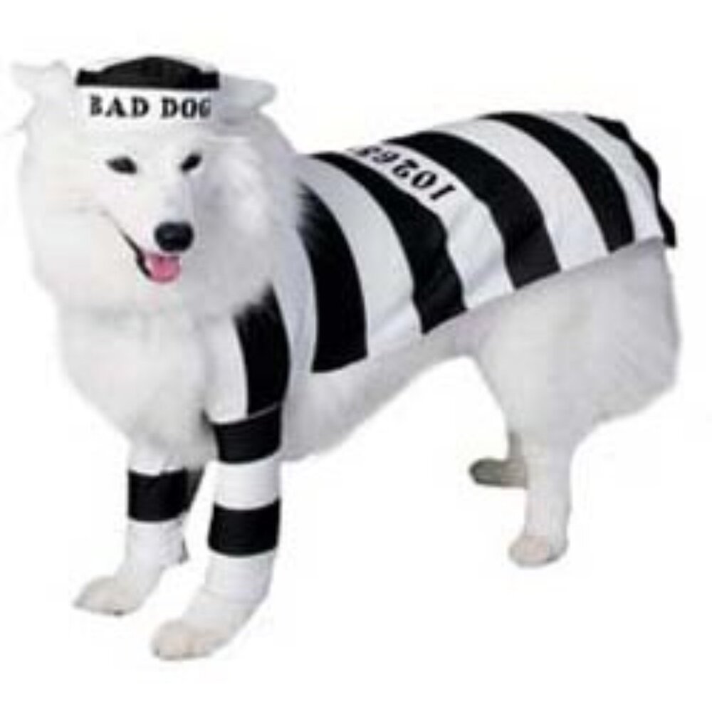 Small Bad Dog Prisoner Lock Up Rubies Pet Shop Dog Costume